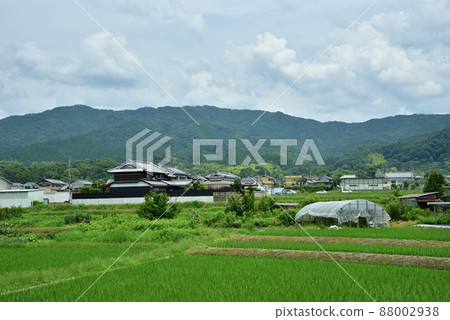 龍王山的夏日風景 龍王山的夏日風景 88002938