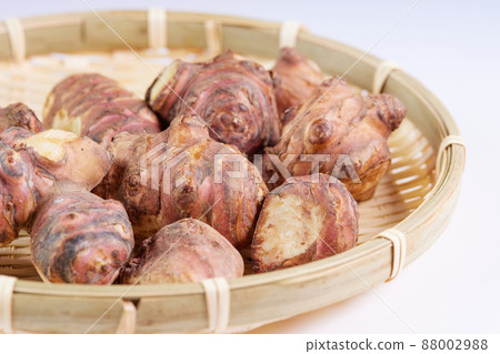 菊芋 / Kikuimo / Basket_3 菊芋 / Kikuimo / Basket_3 88002988