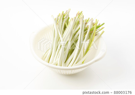 Island island (Okinawa Island Vegetable) 88003176