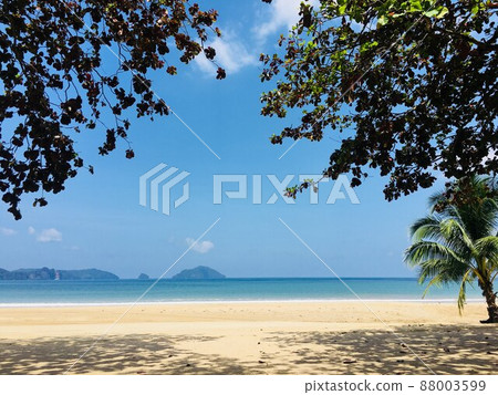The sea of El Nido 88003599