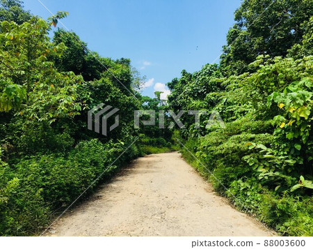 Green and blue road 88003600