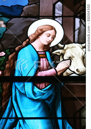 Virgin Mary, stained glass window in Basilica Assumption of the Virgin Mary in Marija Bistrica, Croatia Virgin Mary, stained glass window in Basilica Assumption of the Virgin Mary in Marija Bistrica, Croatia 88004300