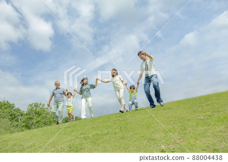 Three generation family playing in the park 88004438
