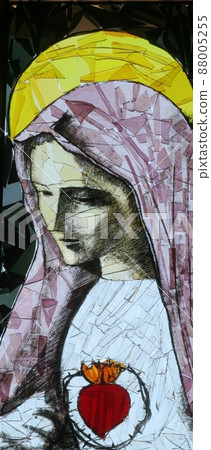 Immaculate Heart of Mary Immaculate Heart of Mary 88005255