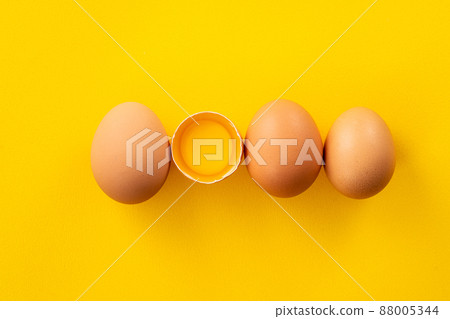 egg egg brown brown yellow Egg in plate egg 生たまご 88005344