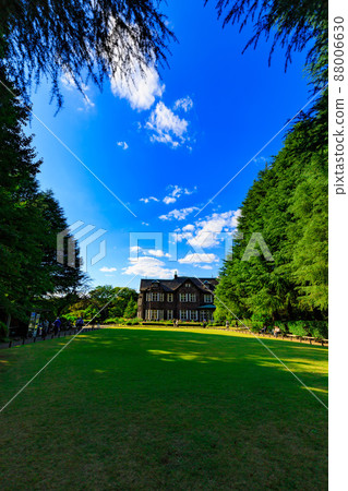 玫瑰盛開的東京北區舊古河庭園 88006630