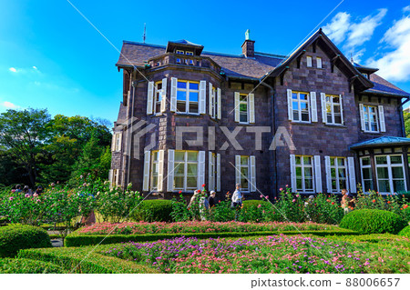 Kyu-Furukawa Garden in Kita-ku, Tokyo, where roses are in full bloom 88006657