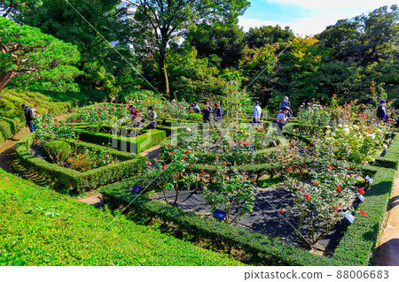 Kyu-Furukawa Garden in Kita-ku, Tokyo, where roses are in full bloom 88006683