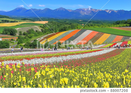[Hokkaido] Biei Shikisai Hill under sunny weather 88007208