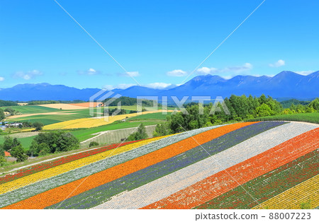 [北海道]美瑛關西山在晴朗的天氣下 88007223
