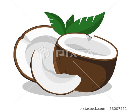 Coconut half with green leaves Vector illustration isolated on white background 88007351