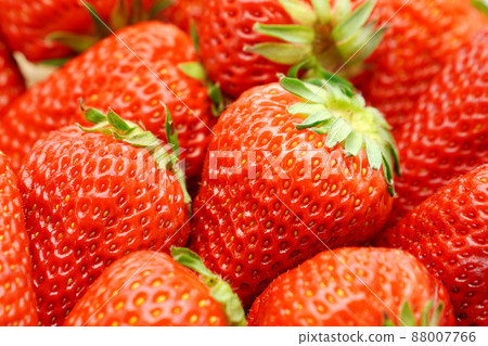 Ichigo深紅色的臉頰 88007766