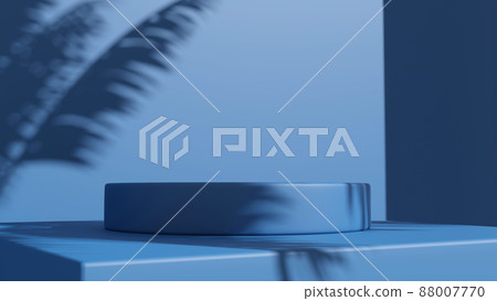 3d rendering box podium palm leaves with summer background. 3d rendering box podium palm leaves with summer background. 88007770