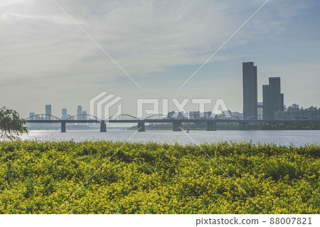 從瑞來島眺望銅雀橋周邊的景色 88007821