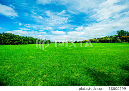 帶廣綠丘公園、晴朗的天空和草坪 帶廣綠丘公園、晴朗的天空和草坪 88009299