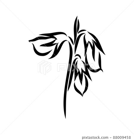 Lentil vegetable graphic black white isolated sketch set illustration vector Lentil vegetable graphic black white isolated sketch set illustration vector 88009458