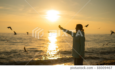 Caucasian woman feeding seagulls on the sea at sunset.  88009467