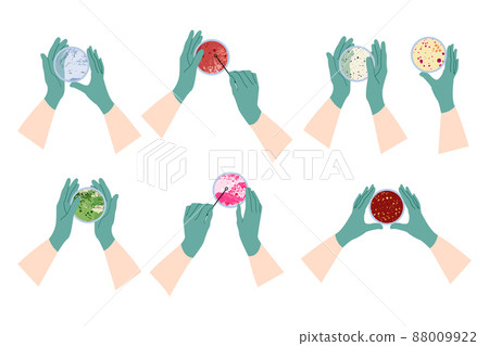 Scientist's hand in glove holding Petri dish, plate with agar, bacterial colony. Bacteriology. Microbiology. Laboratory test, bacteriological swab, chemical analysis. Vector flat cartoon illustration Scientist's hand in glove holding Petri dish, plate with agar, bacterial colony. Bacteriology. Microbiology. Laboratory test, bacteriological swab, chemical analysis. Vector flat cartoon illustration 88009922