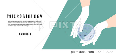 Scientist's hand in glove holding Petri dish, plate with agar, bacterial colony. Bacteriology. Microbiology. Laboratory test, bacteriological swab, chemical analysis. Vector flat cartoon illustration Scientist's hand in glove holding Petri dish, plate with agar, bacterial colony. Bacteriology. Microbiology. Laboratory test, bacteriological swab, chemical analysis. Vector flat cartoon illustration 88009928