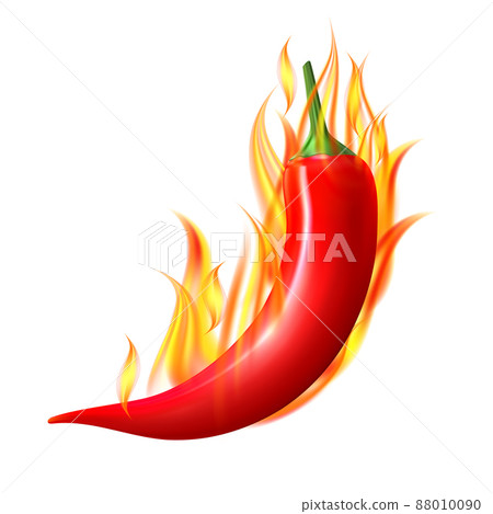 Red hot flaming chili pepper pod. Design for culinary products, spice package, recipe or cooking book. Red hot flaming chili pepper pod. Design for culinary products, spice package, recipe or cooking book. 88010090