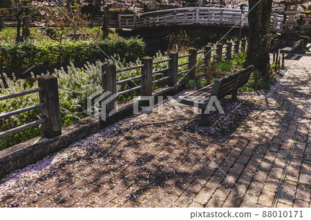200427 Gokoku Shrine Sakura 004 200427 Gokoku Shrine Sakura 004 88010171