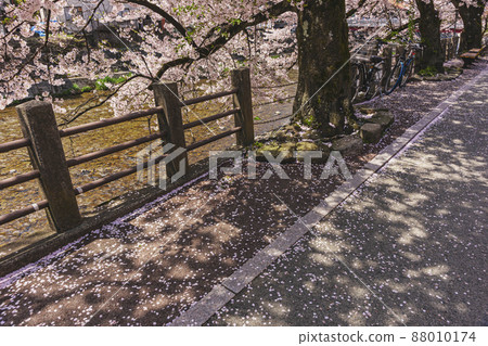 200427 Sakura Nakahashi 028 200427 Sakura Nakahashi 028 88010174