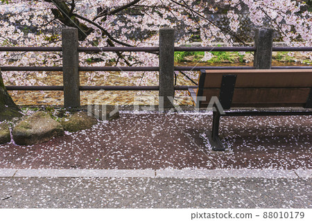 200427 Sakura Nakahashi 023 200427 Sakura Nakahashi 023 88010179