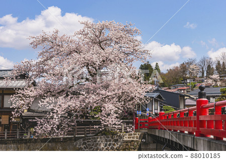 200427 Sakura Nakahashi 014 88010185