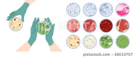 Scientist's hand in glove holding Petri dish, plate with agar, bacterial colony. Bacteriology. Microbiology. Laboratory test, bacteriological swab, chemical analysis. Vector flat cartoon illustration 88010707