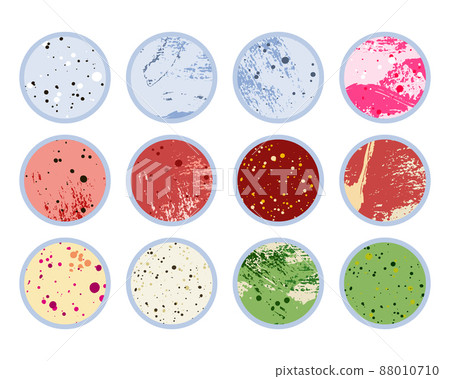 Petri dish, plate with agar, bacterial colony. Bacteriology. Microbiology. Laboratory test, bacteriological swab, chemical analysis. Vector flat cartoon illustration Petri dish, plate with agar, bacterial colony. Bacteriology. Microbiology. Laboratory test, bacteriological swab, chemical analysis. Vector flat cartoon illustration 88010710