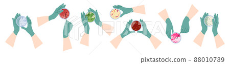 Scientist's hand in glove holding Petri dish, plate with agar, bacterial colony. Bacteriology. Microbiology. Laboratory test, bacteriological swab, chemical analysis. Vector flat cartoon illustration 88010789