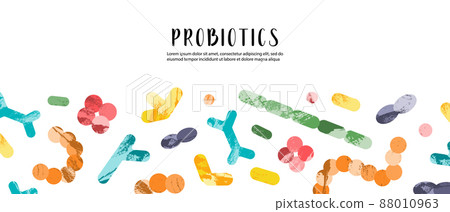 Probiotics. Lactic acid bacteria. Good bacteria and microorganisms for gut and intestinal flora health. Microbiome. Bifidobacterium, lactobacillus, lactococcus, thermophilus streptococcus, Probiotics. Lactic acid bacteria. Good bacteria and microorganisms for gut and intestinal flora health. Microbiome. Bifidobacterium, lactobacillus, lactococcus, thermophilus streptococcus, 88010963