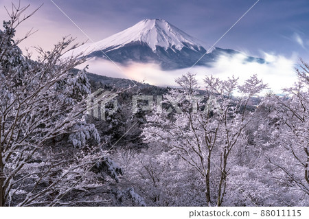 《山梨縣》冬天的富士山，20首降雪歌曲 88011115