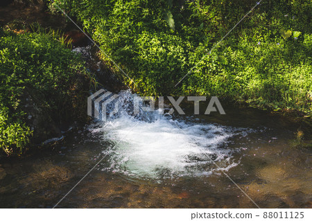Yangmingshan Bamboo Lake landscaping 88011125