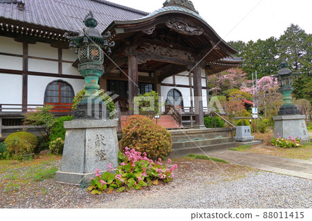 Sakura, Kogonji Temple, Akiruno City, Tokyo Sakura, Kogonji Temple, Akiruno City, Tokyo 88011415