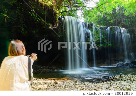 Nabegataki瀑布“新鮮的綠色/初夏”水簾風景2021（7月） 88012939