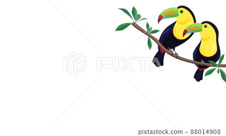 三色 Kim Neo Toucan_Frame_16:9 插圖 三色 Kim Neo Toucan_Frame_16:9 插圖 88014908