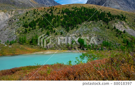 Mountain lake on the background of snow-capped peaks in the Altai Republic. 88018397