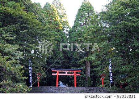 霧島神社入場 霧島神社入場 88018831