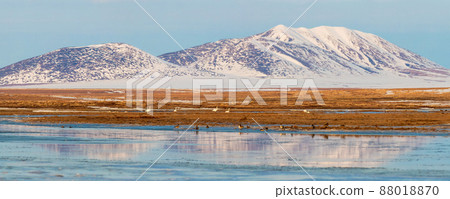 Beautiful spring arctic landscape 88018870