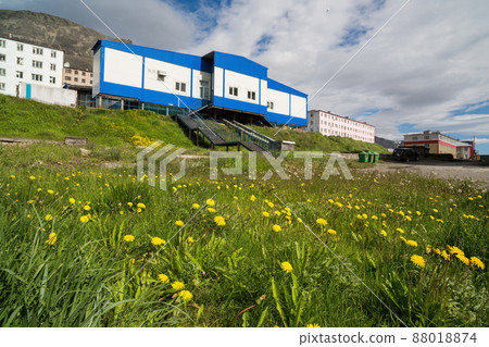 Summer view of a shop and residential buildings in an arctic settlement Summer view of a shop and residential buildings in an arctic settlement 88018874