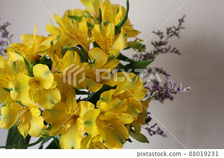 Decorate the yellow astromeria flowers Decorate the yellow astromeria flowers 88019231