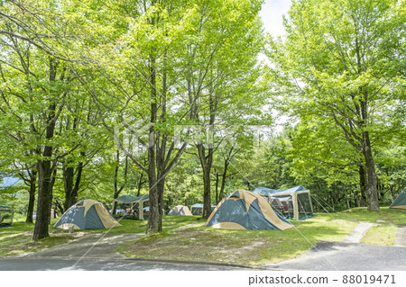 新鮮的綠色/初夏露營地圖像（Hiruzen Plateau） 88019471