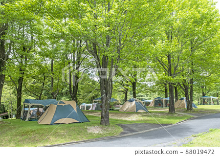 新鮮的綠色/初夏露營地圖像（Hiruzen Plateau） 88019472