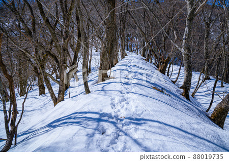 （山梨縣）深雪山中的御坂黑岳 88019735