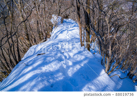 （山梨縣）深雪山中的御坂黑岳 88019736