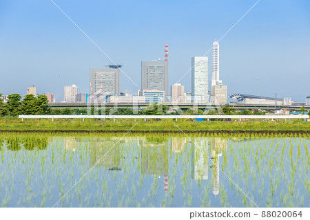 “埼玉縣”埼玉市,水稻種植後的水沼稻田美景 “埼玉縣”埼玉市,水稻種植後的水沼稻田美景 88020064