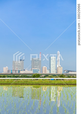 “埼玉縣”埼玉市,水稻種植後的水沼稻田美景 “埼玉縣”埼玉市,水稻種植後的水沼稻田美景 88020066