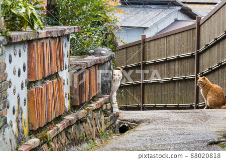 瀨戶窯柵欄和貓(愛知縣瀨戶市) 瀨戶窯柵欄和貓(愛知縣瀨戶市) 88020818