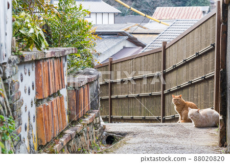 瀨戶窯柵欄和貓(愛知縣瀨戶市) 瀨戶窯柵欄和貓(愛知縣瀨戶市) 88020820